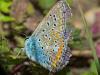 312043 – Photo : Florian ALONSO – France (69)